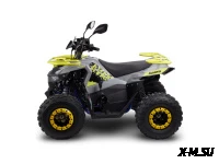 Квадроцикл Avantis Ray 8 Lux