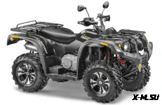 Квадроцикл STELS ATV 600 YS LEOPARD
