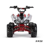 Квадроцикл ACCESS AMS 110 MINISPORT