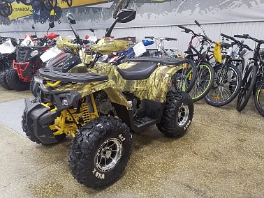 Квадроцикл PROMAX STORM 190 PRO