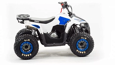 Квадроцикл MOTOLAND (МОТОЛЕНД) 110 EAGLE