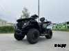 Квадроцикл GBM CRONOS 320 ST