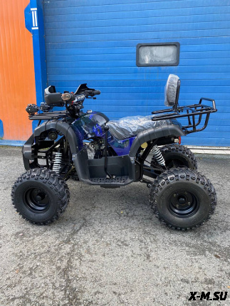 Квадроцикл Grizzly 110