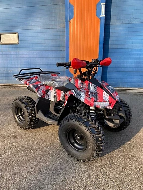 Квадроцикл RAPTOR NEW 125