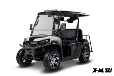 Мотовездеход (UTV/БАГГИ) AODES 300-10 Golf