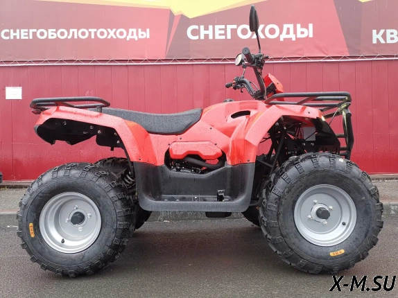 Квадроцикл IRBIS ATV 250