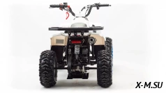 Квадроцикл MOTOLAND (МОТОЛЕНД) 110 EAGLE